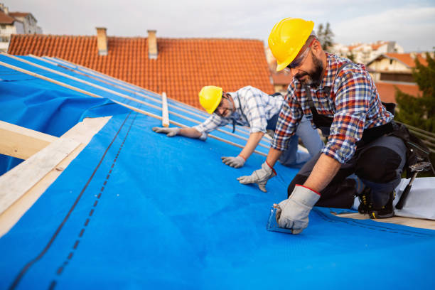 Best Roof Insulation Installation  in Minersville, PA