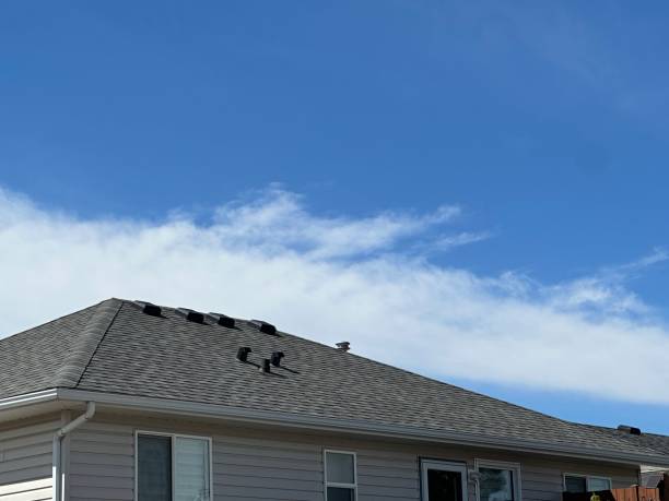 Best Green or Eco-Friendly Roofing Solutions  in Minersville, PA